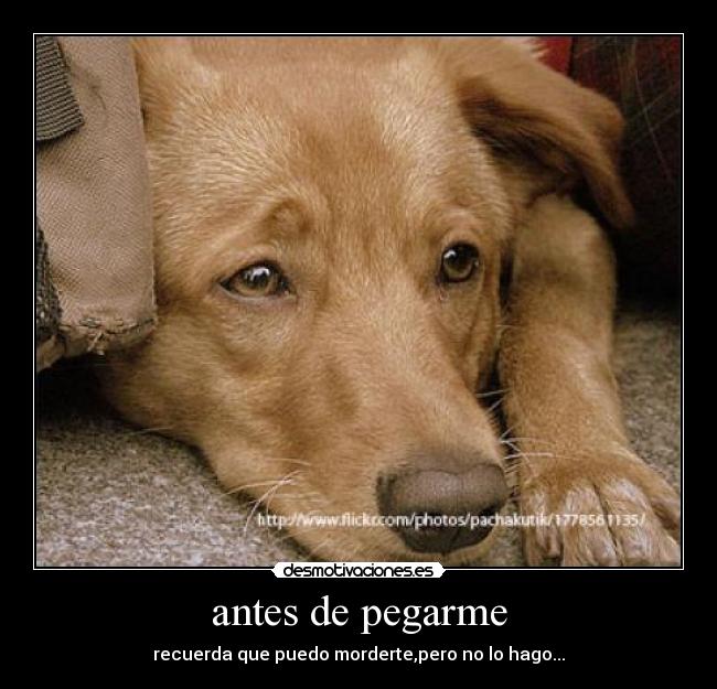 antes de pegarme -