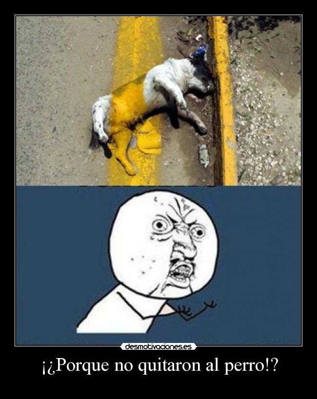 ¡¿Porque no quitaron al perro!? - 