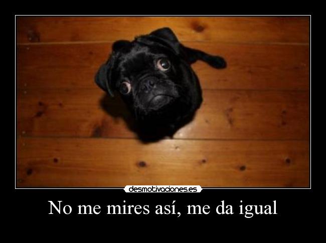 No me mires así, me da igual -
