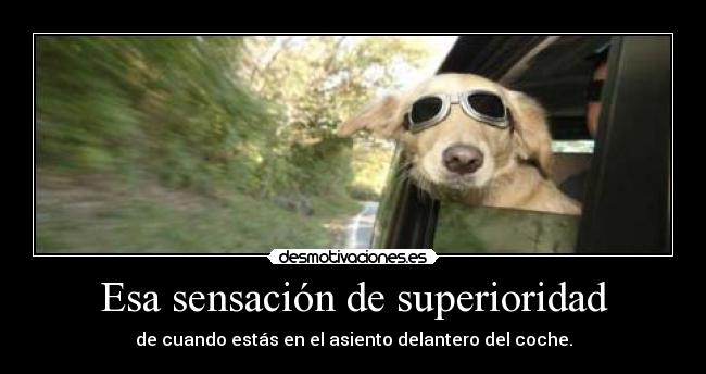 Esa sensación de superioridad - de cuando estás en el asiento delantero del coche.