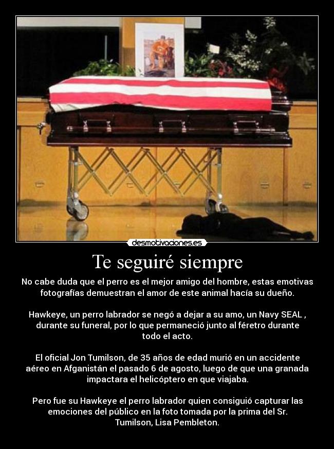 Te seguiré siempre - No cabe duda que el perro es el mejor amigo del hombre, estas emotivas
fotografías demuestran el amor de este animal hacía su dueño.

Hawkeye, un perro labrador se negó a dejar a su amo, un Navy SEAL ,
durante su funeral, por lo que permaneció junto al féretro durante
todo el acto.

El oficial Jon Tumilson, de 35 años de edad murió en un accidente
aéreo en Afganistán el pasado 6 de agosto, luego de que una granada
impactara el helicóptero en que viajaba.

Pero fue su Hawkeye el perro labrador quien consiguió capturar las
emociones del público en la foto tomada por la prima del Sr.
Tumilson, Lisa Pembleton.
