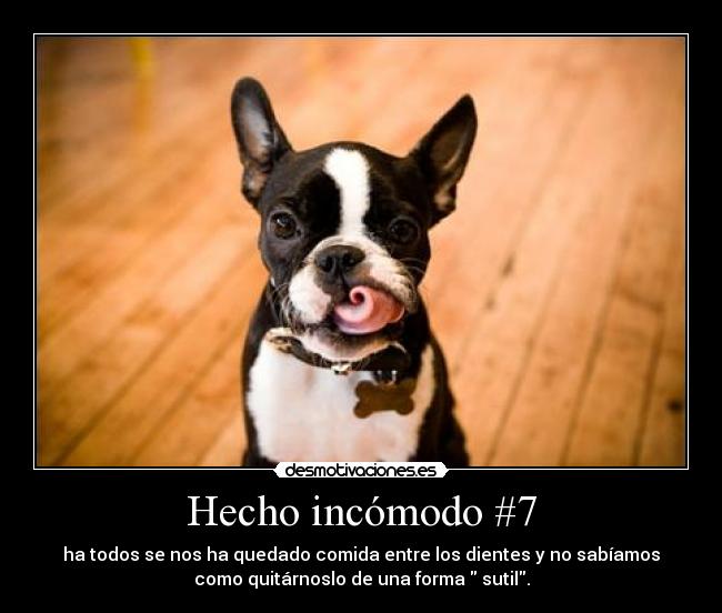 Hecho incómodo #7 -