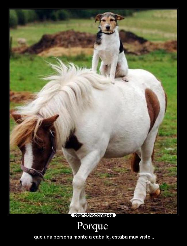 Porque - que una persona monte a caballo, estaba muy visto...