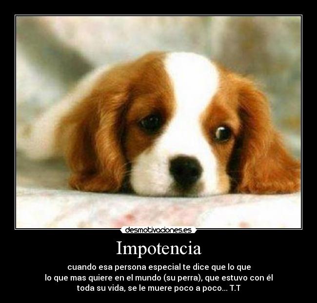 Impotencia - 