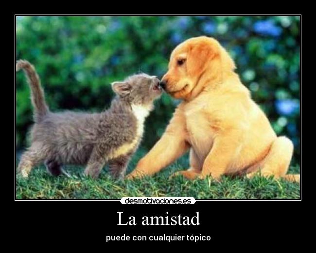 La amistad -