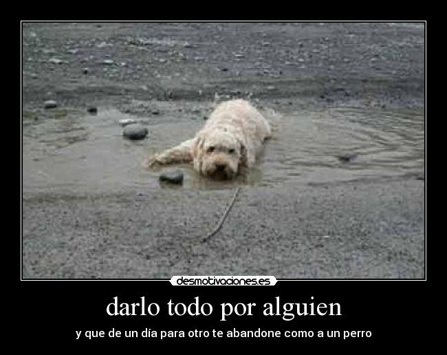 carteles perro abandonar desmotivaciones