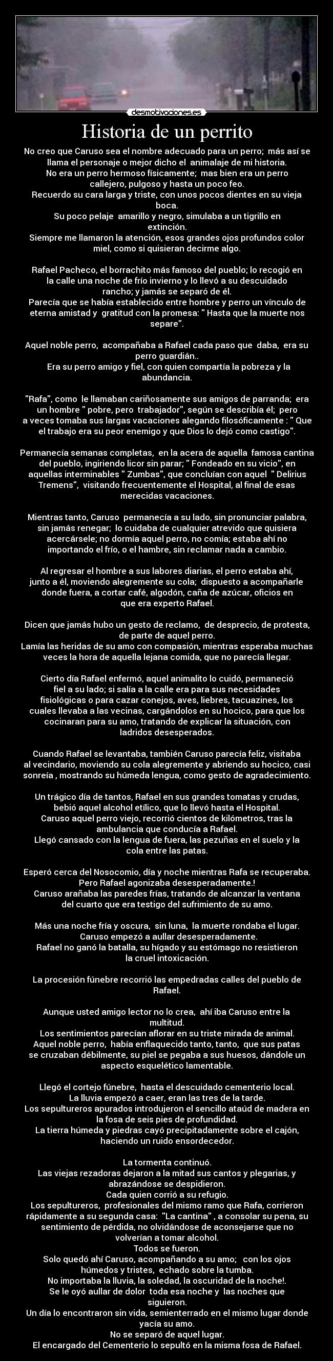 Historia de un perrito - No creo que Caruso sea el nombre adecuado para un perro;  más así se
llama el personaje o mejor dicho el  animalaje de mi historia.
No era un perro hermoso físicamente;  mas bien era un perro
callejero, pulgoso y hasta un poco feo.
Recuerdo su cara larga y triste, con unos pocos dientes en su vieja
boca.
Su poco pelaje  amarillo y negro, simulaba a un tigrillo en
extinción.
Siempre me llamaron la atención, esos grandes ojos profundos color
miel, como si quisieran decirme algo.
 
Rafael Pacheco, el borrachito más famoso del pueblo; lo recogió en
la calle una noche de frío invierno y lo llevó a su descuidado
rancho; y jamás se separó de él.
Parecía que se había establecido entre hombre y perro un vínculo de
eterna amistad y  gratitud con la promesa:  Hasta que la muerte nos
separe.
 
Aquel noble perro,  acompañaba a Rafael cada paso que  daba,  era su
perro guardián..
  Era su perro amigo y fiel, con quien compartía la pobreza y la
abundancia.
 
Rafa, como  le llamaban cariñosamente sus amigos de parranda;  era
un hombre  pobre, pero  trabajador, según se describía él;  pero
a veces tomaba sus largas vacaciones alegando filosóficamente :  Que
el trabajo era su peor enemigo y que Dios lo dejó como castigo.
 
Permanecía semanas completas,  en la acera de aquella  famosa cantina
del pueblo, ingiriendo licor sin parar;  Fondeado en su vicio, en
aquellas interminables  Zumbas, que concluían con aquel   Delirius
Tremens,  visitando frecuentemente el Hospital, al final de esas
merecidas vacaciones.
 
Mientras tanto, Caruso  permanecía a su lado, sin pronunciar palabra,
sin jamás renegar;  lo cuidaba de cualquier atrevido que quisiera
acercársele; no dormía aquel perro, no comía; estaba ahí no
importando el frío, o el hambre, sin reclamar nada a cambio.
 
Al regresar el hombre a sus labores diarias, el perro estaba ahí,
junto a él, moviendo alegremente su cola;  dispuesto a acompañarle
donde fuera, a cortar café, algodón, caña de azúcar, oficios en
que era experto Rafael.
 
Dicen que jamás hubo un gesto de reclamo,  de desprecio, de protesta,
de parte de aquel perro.
Lamía las heridas de su amo con compasión, mientras esperaba muchas
veces la hora de aquella lejana comida, que no parecía llegar.
 
Cierto día Rafael enfermó, aquel animalito lo cuidó, permaneció
fiel a su lado; si salía a la calle era para sus necesidades
fisiológicas o para cazar conejos, aves, liebres, tacuazines, los
cuales llevaba a las vecinas, cargándolos en su hocico, para que los
cocinaran para su amo, tratando de explicar la situación, con
ladridos desesperados.
 
Cuando Rafael se levantaba, también Caruso parecía feliz, visitaba
al vecindario, moviendo su cola alegremente y abriendo su hocico, casi
sonreía , mostrando su húmeda lengua, como gesto de agradecimiento.
 
Un trágico día de tantos, Rafael en sus grandes tomatas y crudas,
bebió aquel alcohol etílico, que lo llevó hasta el Hospital.
Caruso aquel perro viejo, recorrió cientos de kilómetros, tras la
ambulancia que conducía a Rafael.
Llegó cansado con la lengua de fuera, las pezuñas en el suelo y la
cola entre las patas.
 
Esperó cerca del Nosocomio, día y noche mientras Rafa se recuperaba.
Pero Rafael agonizaba desesperadamente.!
Caruso arañaba las paredes frías, tratando de alcanzar la ventana
del cuarto que era testigo del sufrimiento de su amo.
 
Más una noche fría y oscura,  sin luna,  la muerte rondaba el lugar.
  Caruso empezó a aullar desesperadamente.
Rafael no ganó la batalla, su hígado y su estómago no resistieron
la cruel intoxicación.
 
La procesión fúnebre recorrió las empedradas calles del pueblo de
Rafael.
 
Aunque usted amigo lector no lo crea,  ahí iba Caruso entre la
multitud.
Los sentimientos parecían aflorar en su triste mirada de animal.
Aquel noble perro,  había enflaquecido tanto, tanto,  que sus patas
se cruzaban débilmente, su piel se pegaba a sus huesos, dándole un
aspecto esquelético lamentable.
 
Llegó el cortejo fúnebre,  hasta el descuidado cementerio local.
La lluvia empezó a caer, eran las tres de la tarde.
Los sepultureros apurados introdujeron el sencillo ataúd de madera en
la fosa de seis pies de profundidad.
La tierra húmeda y piedras cayó precipitadamente sobre el cajón,
haciendo un ruido ensordecedor.
 
La tormenta continuó.
Las viejas rezadoras dejaron a la mitad sus cantos y plegarias, y
abrazándose se despidieron.
Cada quien corrió a su refugio.
Los sepultureros,  profesionales del mismo ramo que Rafa, corrieron
rápidamente a su segunda casa:  La cantina , a consolar su pena, su
sentimiento de pérdida, no olvidándose de aconsejarse que no
volverían a tomar alcohol.
Todos se fueron.
Solo quedó ahí Caruso, acompañando a su amo;   con los ojos
húmedos y tristes,  echado sobre la tumba.
No importaba la lluvia, la soledad, la oscuridad de la noche!.
Se le oyó aullar de dolor  toda esa noche y  las noches que
siguieron.
Un día lo encontraron sin vida, semienterrado en el mismo lugar donde
yacía su amo.
No se separó de aquel lugar.
El encargado del Cementerio lo sepultó en la misma fosa de Rafael.