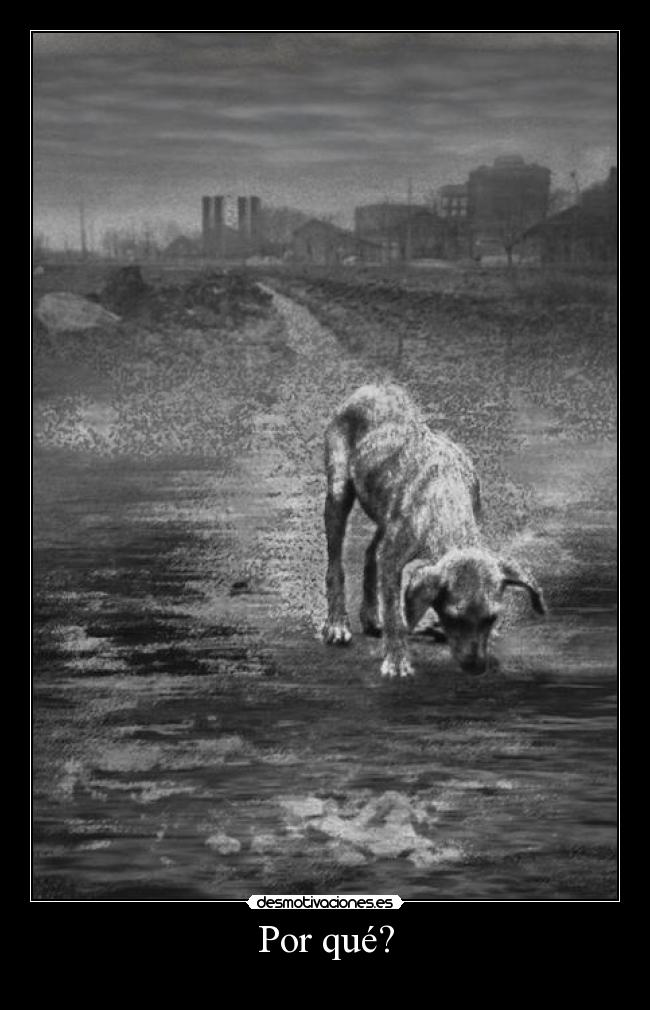 Por qué? -