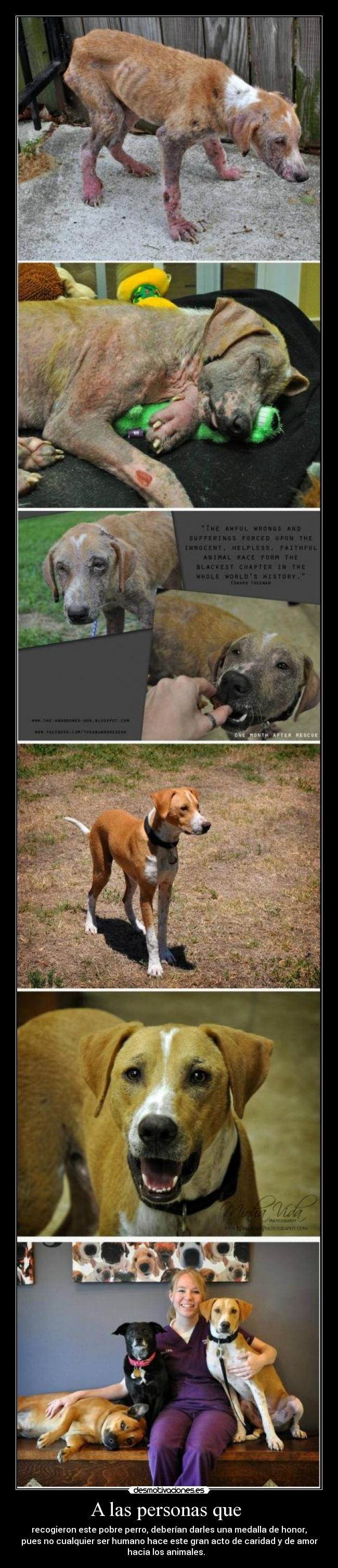 A las personas que -