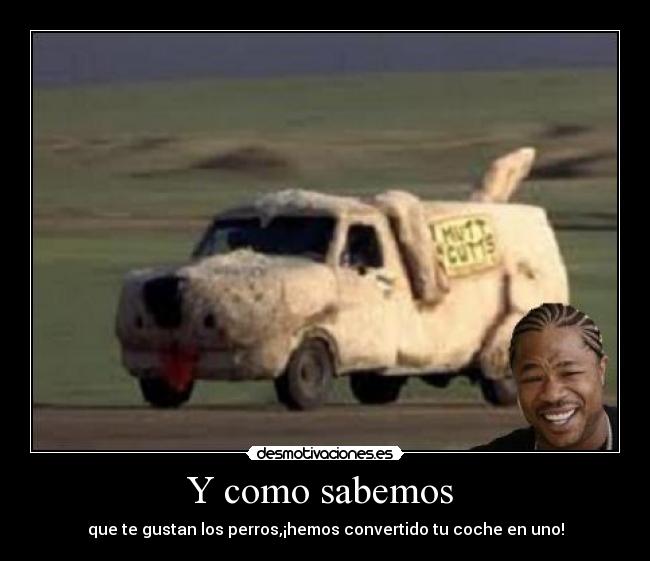 carteles xzibit mtv tuning perros desmotivaciones