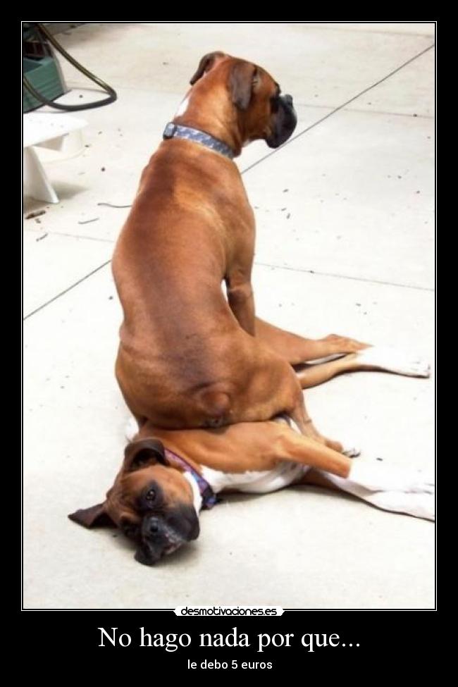 No hago nada por que... -