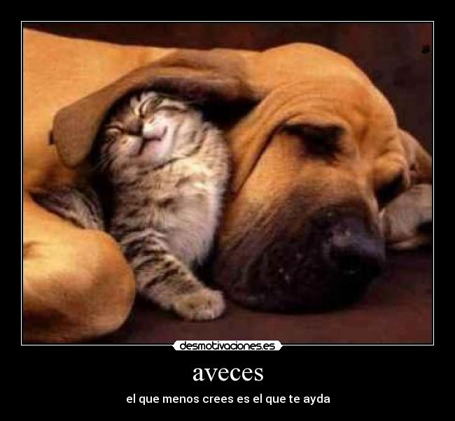 aveces -