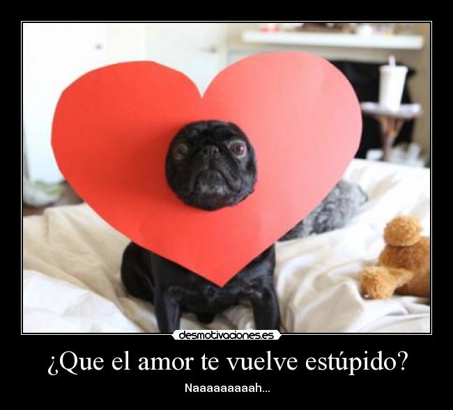 carteles amor amor estupidez corazon perro tierno desmotivaciones