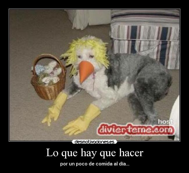 Lo que hay que hacer - por un poco de comida al día...