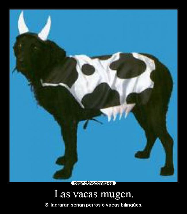 Las vacas mugen. - Si ladraran serian perros o vacas bilingúes.