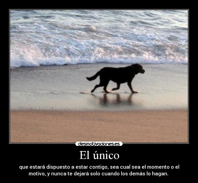El único - 