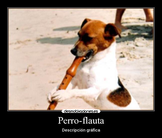 Perro-flauta - Descripción gráfica