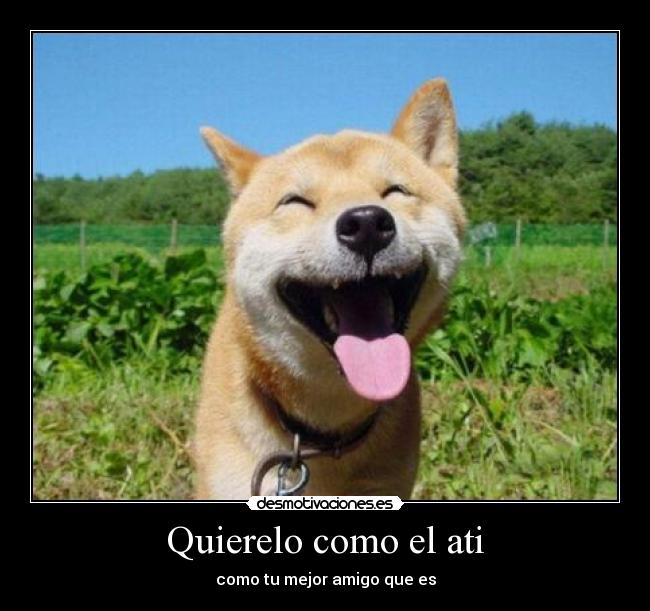 Quierelo como el ati - 