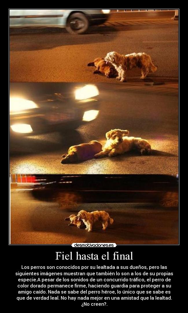 Fiel hasta el final - 