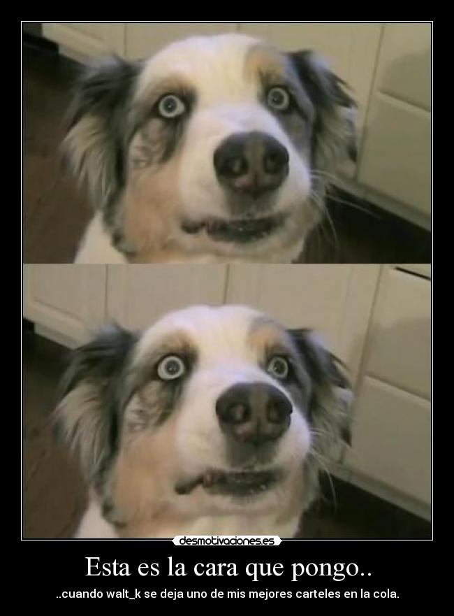 carteles esta es la cara que pongo cuando walt_k walt se deja mi mejor cartel en la cola desmotivaciones