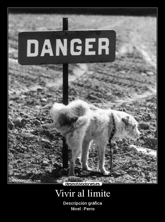 Vivir al limite - 