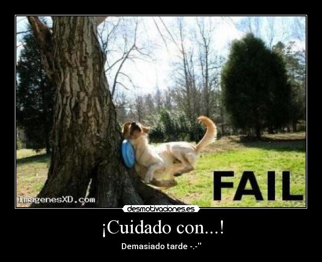 ¡Cuidado con...! - Demasiado tarde -.-