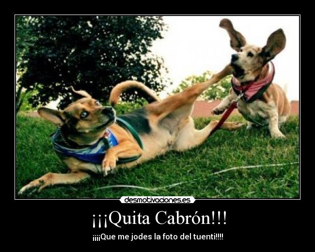 ¡¡¡Quita Cabrón!!! - 
