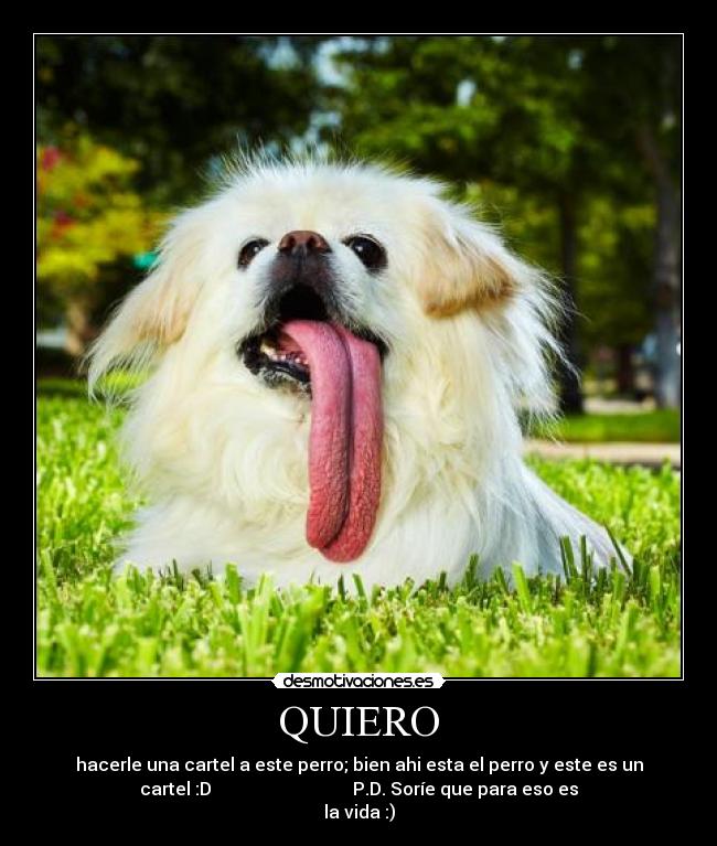 QUIERO - hacerle una cartel a este perro; bien ahi esta el perro y este es un
cartel :D P.D. Soríe que para eso es
la vida :)