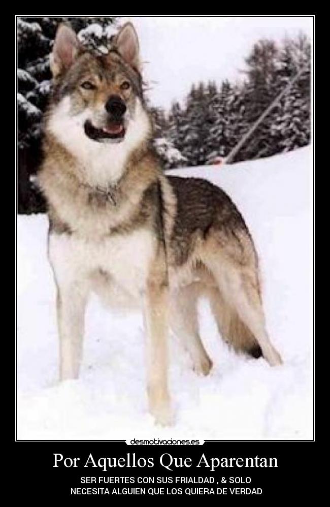 Por Aquellos Que Aparentan -