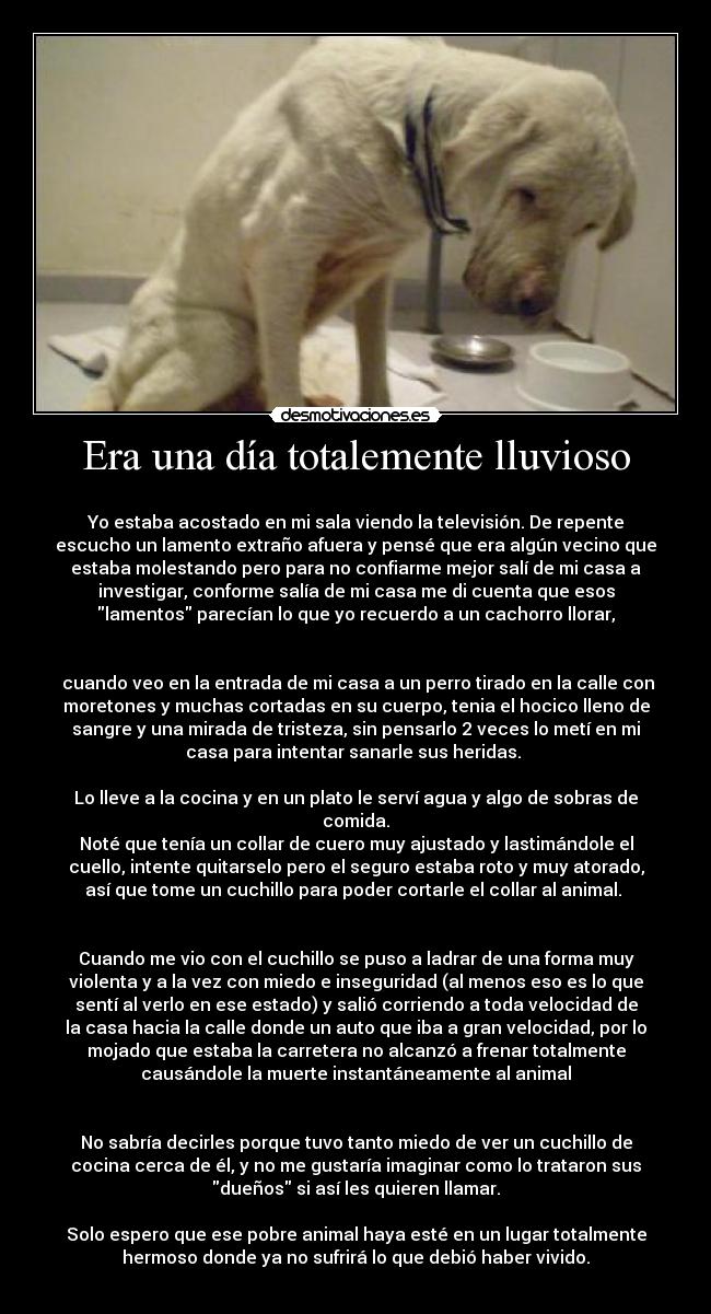 Era una día totalemente lluvioso - 