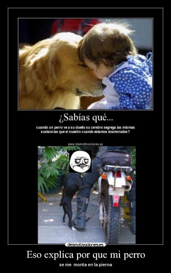 Eso explica por que mi perro - se me monta en la pierna