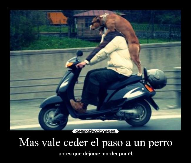 Mas vale ceder el paso a un perro - 