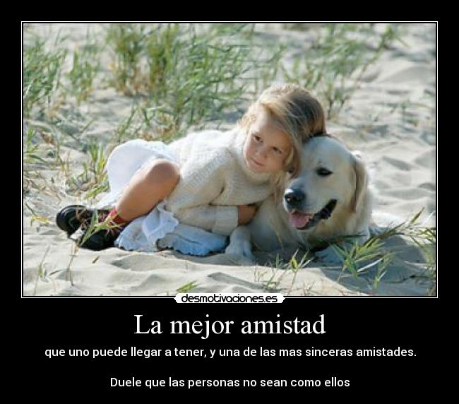 La mejor amistad - que uno puede llegar a tener, y una de las mas sinceras amistades.

Duele que las personas no sean como ellos