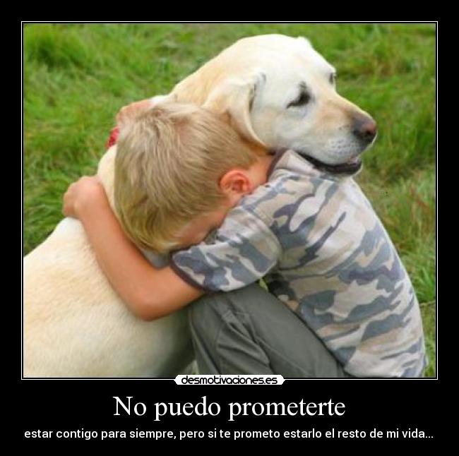 carteles perro amor vida promesa nino desmotivaciones