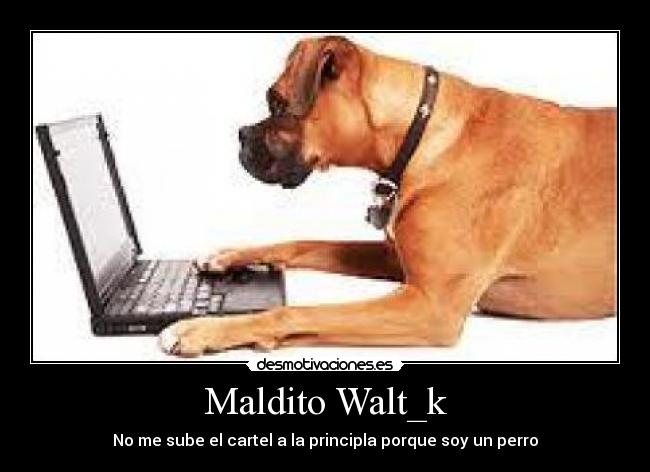 Maldito Walt_k -