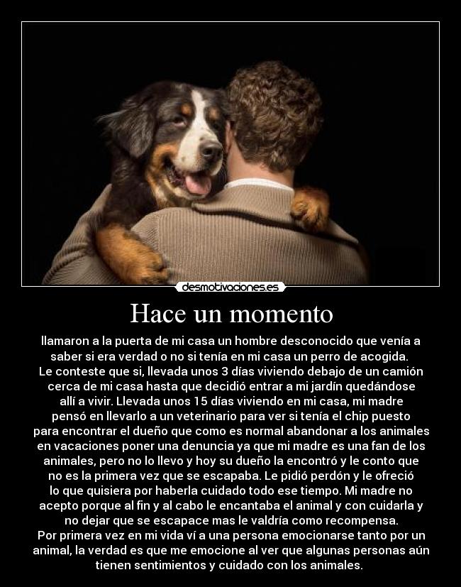 Hace un momento - llamaron a la puerta de mi casa un hombre desconocido que venía a
saber si era verdad o no si tenía en mi casa un perro de acogida.
Le conteste que si, llevada unos 3 días viviendo debajo de un camión
cerca de mi casa hasta que decidió entrar a mi jardín quedándose
allí a vivir. Llevada unos 15 días viviendo en mi casa, mi madre
pensó en llevarlo a un veterinario para ver si tenía el chip puesto
para encontrar el dueño que como es normal abandonar a los animales
en vacaciones poner una denuncia ya que mi madre es una fan de los
animales, pero no lo llevo y hoy su dueño la encontró y le conto que
no es la primera vez que se escapaba. Le pidió perdón y le ofreció
lo que quisiera por haberla cuidado todo ese tiempo. Mi madre no
acepto porque al fin y al cabo le encantaba el animal y con cuidarla y
no dejar que se escapace mas le valdría como recompensa.
Por primera vez en mi vida ví a una persona emocionarse tanto por un
animal, la verdad es que me emocione al ver que algunas personas aún
tienen sentimientos y cuidado con los animales.