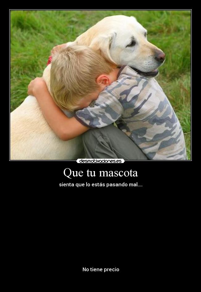 Que tu mascota -