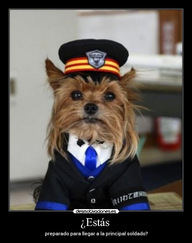 ¿Estás - preparado para llegar a la principal soldado?