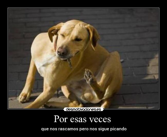 Por esas veces - que nos rascamos pero nos sigue picando