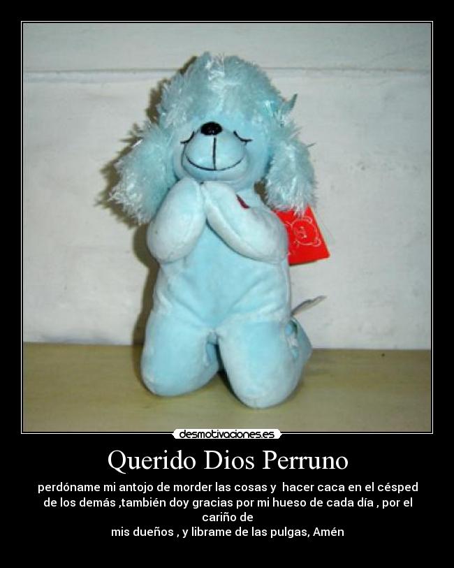 carteles dios perro chistoso desmotivaciones