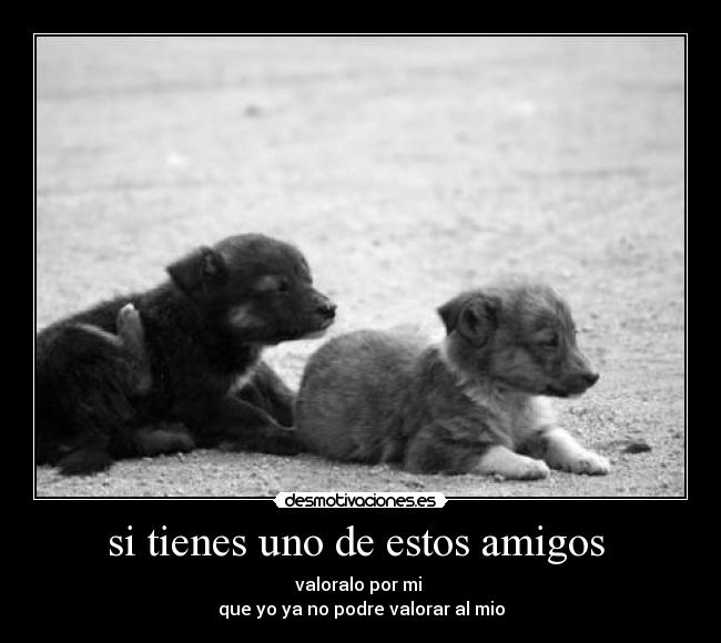 si tienes uno de estos amigos  - 