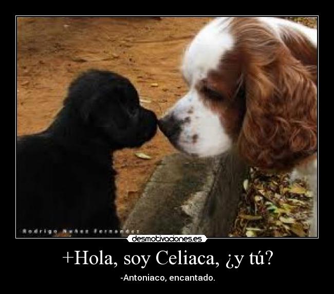 +Hola, soy Celiaca, ¿y tú? - 