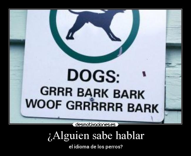 ¿Alguien sabe hablar - 