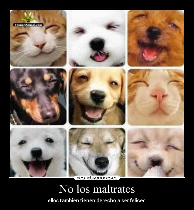 No los maltrates - ellos también tienen derecho a ser felices.