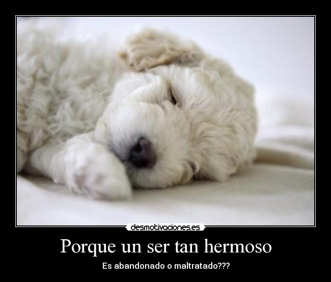 Porque un ser tan hermoso -