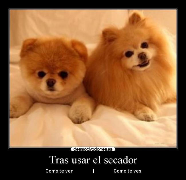 Tras usar el secador - 