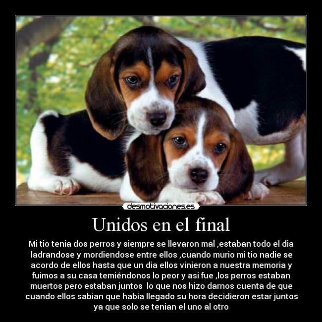 Unidos en el final -