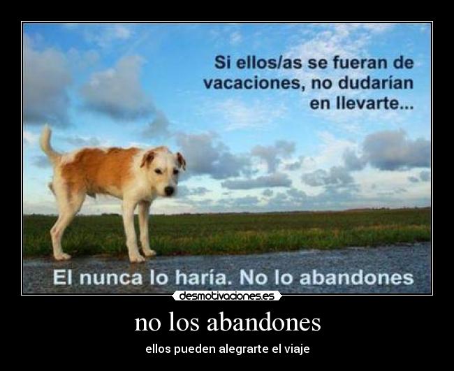 no los abandones -