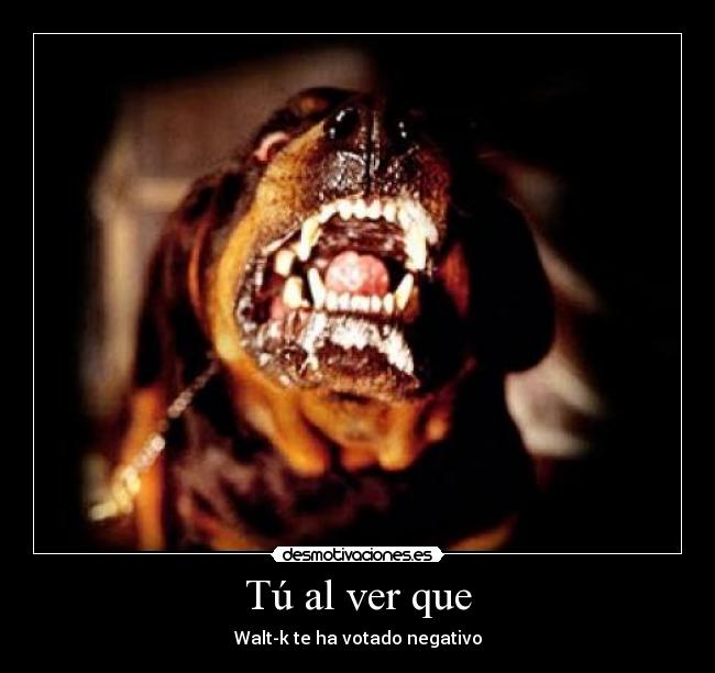 Tú al ver que - Walt-k te ha votado negativo