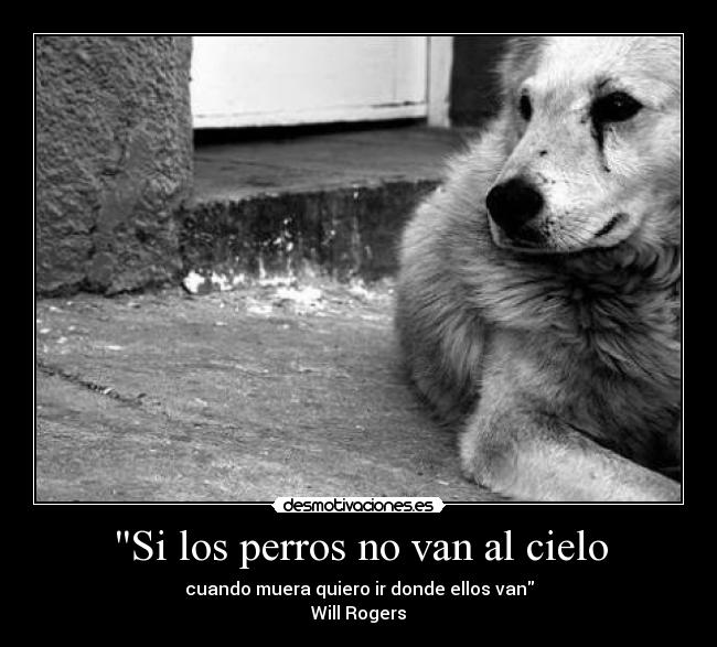 carteles perros zorra implakable desmotivaciones